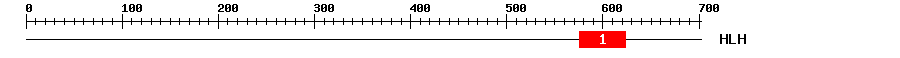 Signature Domain