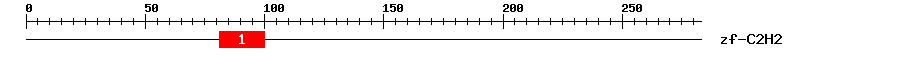 Signature Domain