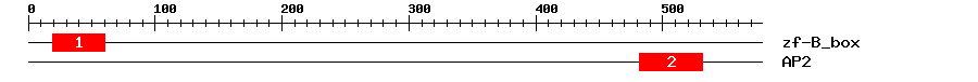 Signature Domain