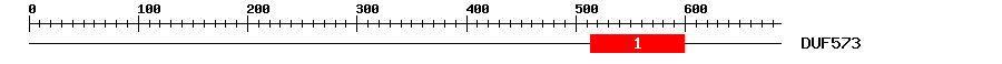 Signature Domain