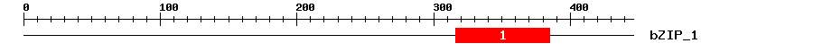 Signature Domain