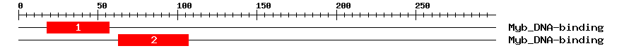 Signature Domain
