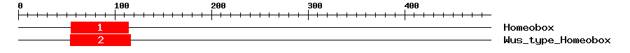 Signature Domain
