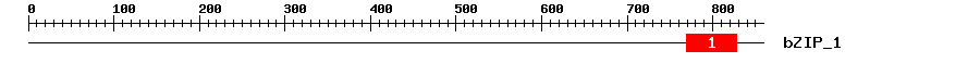 Signature Domain