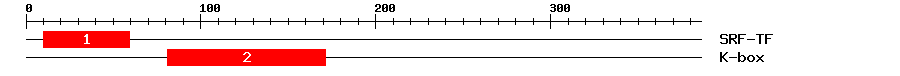 Signature Domain