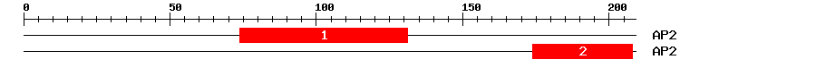 Signature Domain