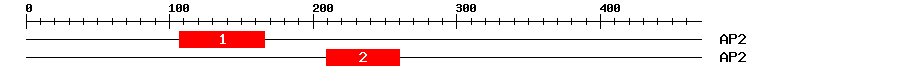 Signature Domain