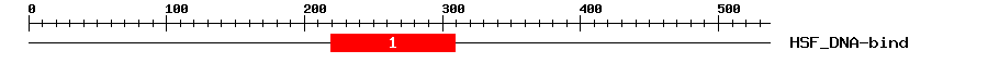 Signature Domain