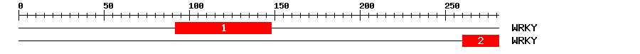 Signature Domain