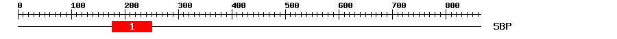 Signature Domain