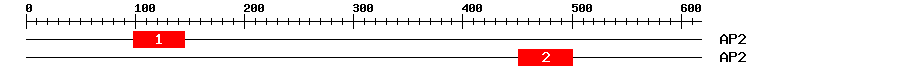 Signature Domain