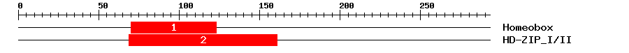 Signature Domain