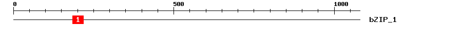 Signature Domain