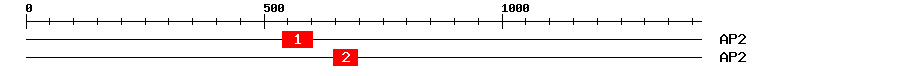Signature Domain