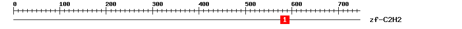 Signature Domain