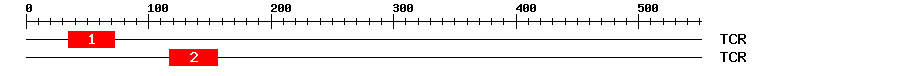 Signature Domain