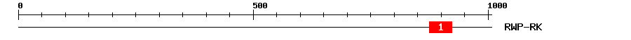 Signature Domain