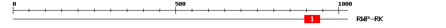 Signature Domain