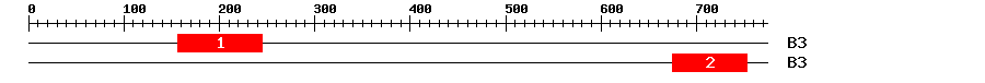 Signature Domain
