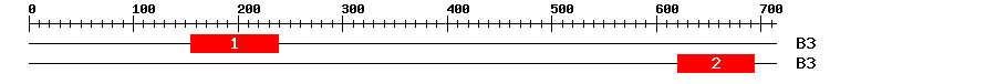 Signature Domain