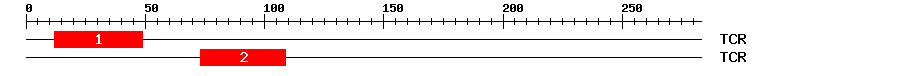 Signature Domain