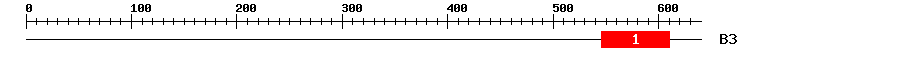 Signature Domain