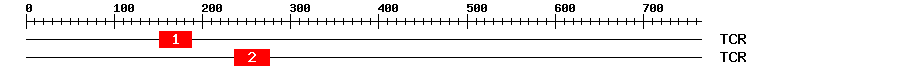 Signature Domain