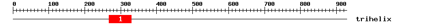 Signature Domain