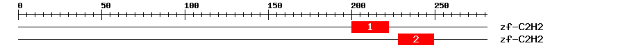 Signature Domain