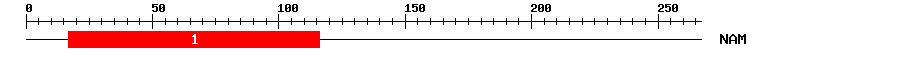 Signature Domain
