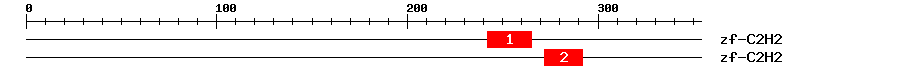 Signature Domain