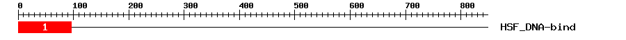 Signature Domain
