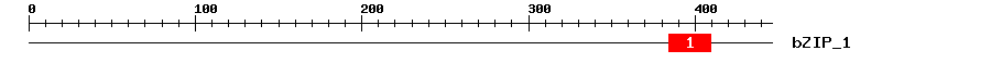 Signature Domain