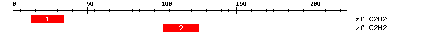 Signature Domain