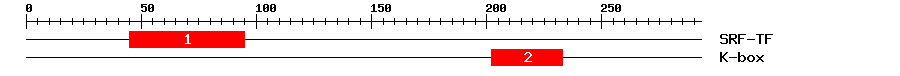 Signature Domain