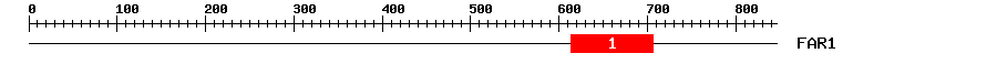 Signature Domain