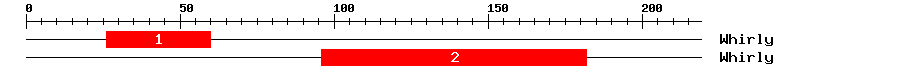 Signature Domain