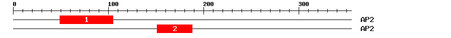 Signature Domain