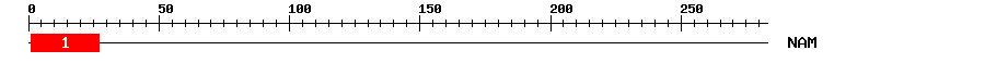 Signature Domain