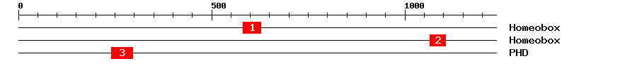 Signature Domain