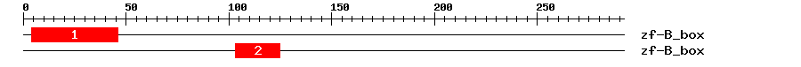 Signature Domain
