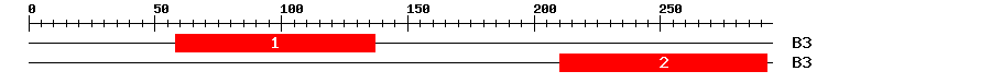 Signature Domain