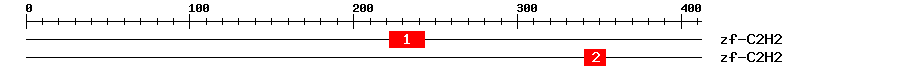 Signature Domain