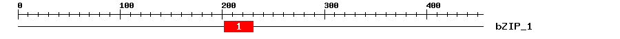 Signature Domain