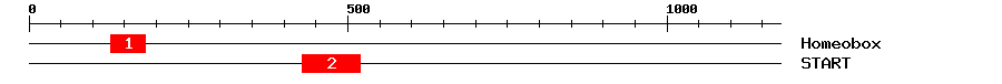 Signature Domain