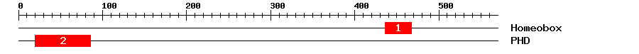 Signature Domain