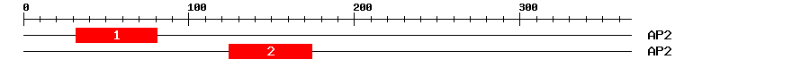 Signature Domain