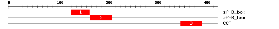 Signature Domain