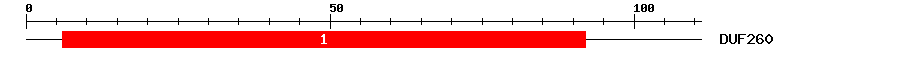 Signature Domain