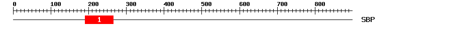 Signature Domain